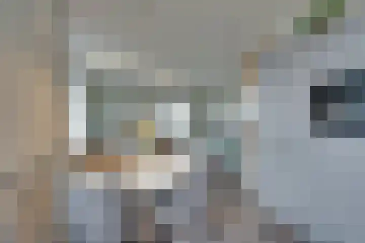Mira 10 Purmerend thumbnail 15