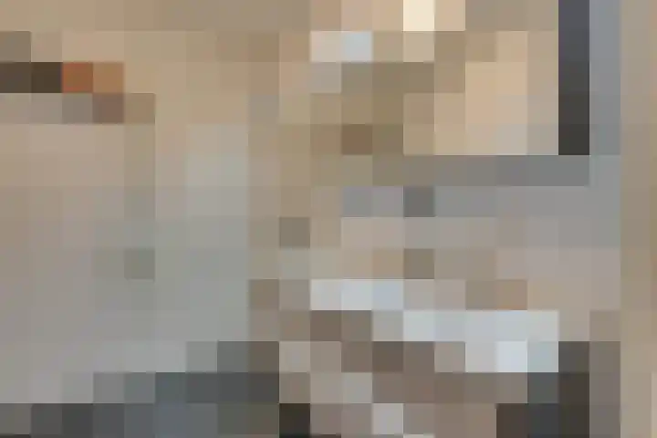 Mira 10 Purmerend thumbnail 26