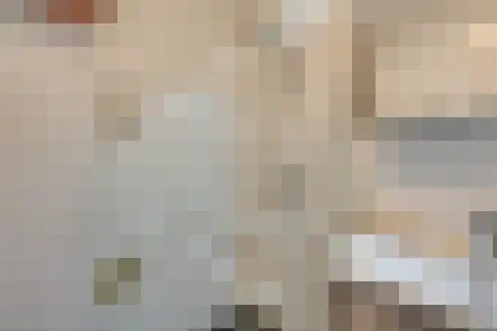 Mira 10 Purmerend thumbnail 27