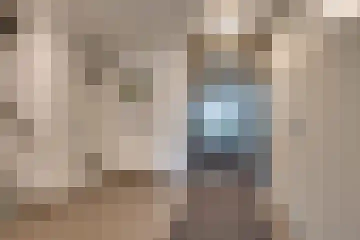 Mira 10 Purmerend thumbnail 34