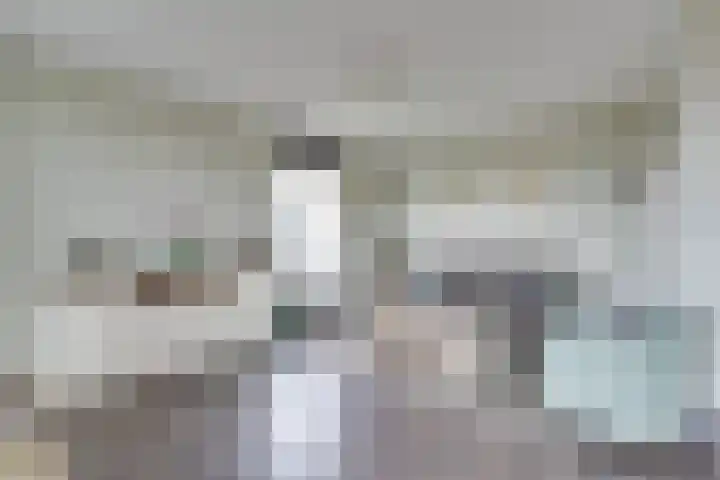 Mira 10 Purmerend thumbnail 4