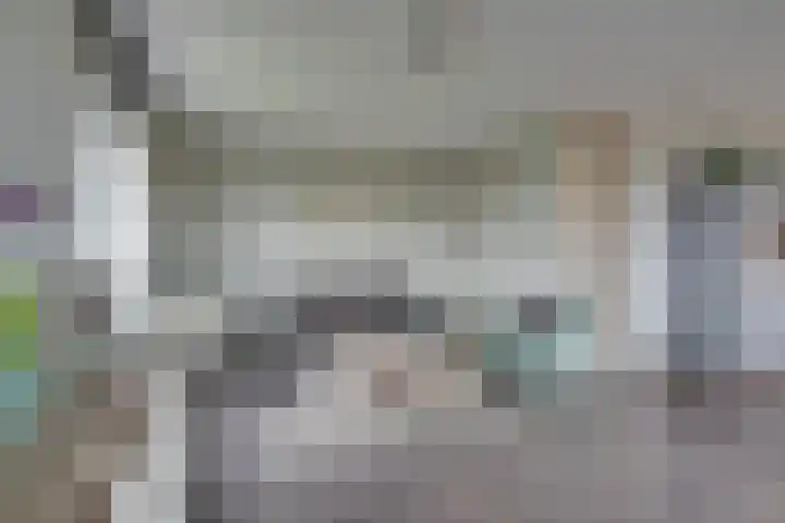 Mira 10 Purmerend thumbnail 8