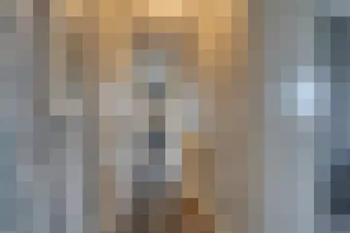 Mira 10 Purmerend thumbnail 9