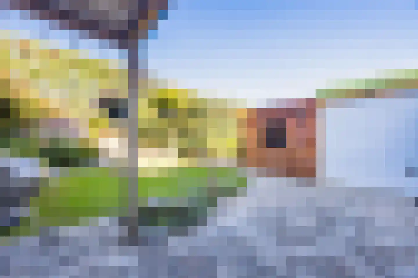 Mira 22 Hapert thumbnail 50