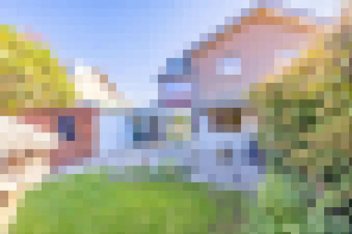 Mira 22 Hapert thumbnail 51
