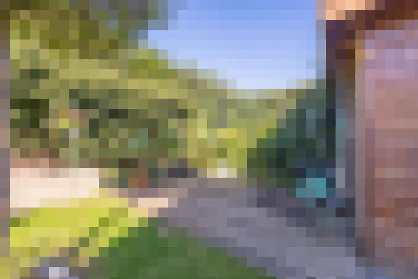 Mira 22 Hapert thumbnail 52