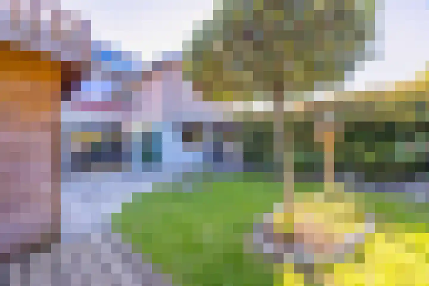 Mira 22 Hapert thumbnail 7
