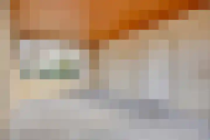 Mira 4 Hapert thumbnail 10