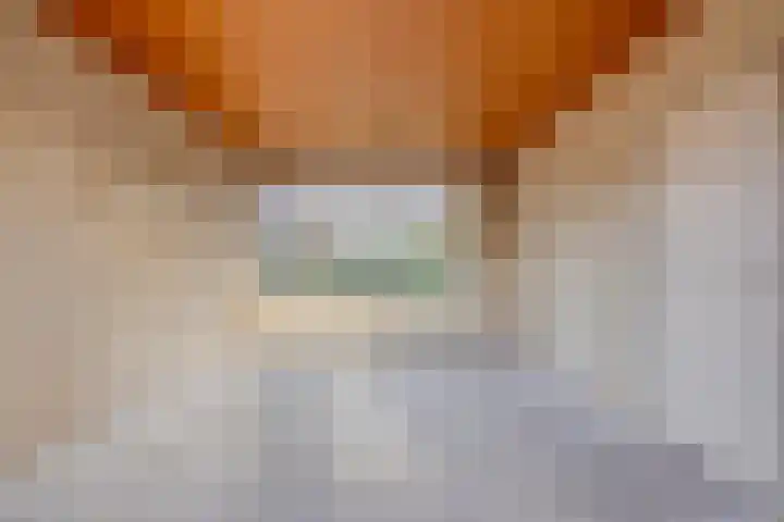 Mira 4 Hapert thumbnail 11