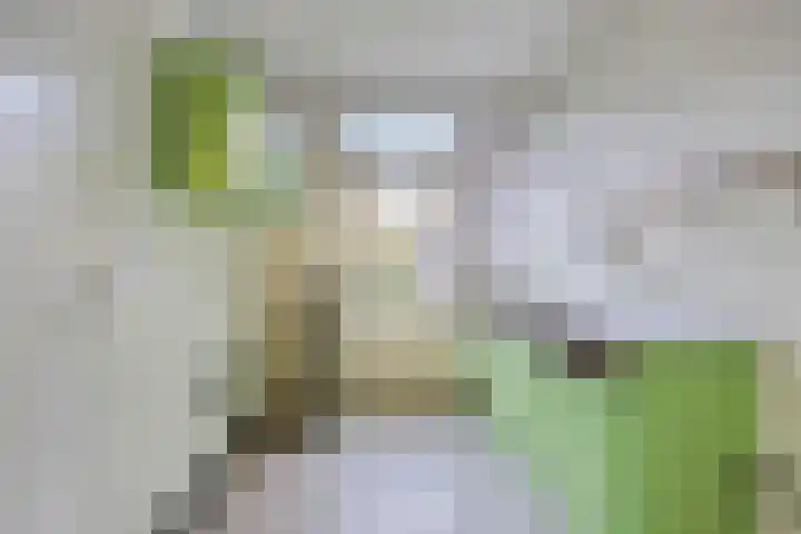 Mira 4 Hapert thumbnail 12