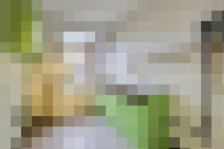 Mira 4 Hapert thumbnail 13