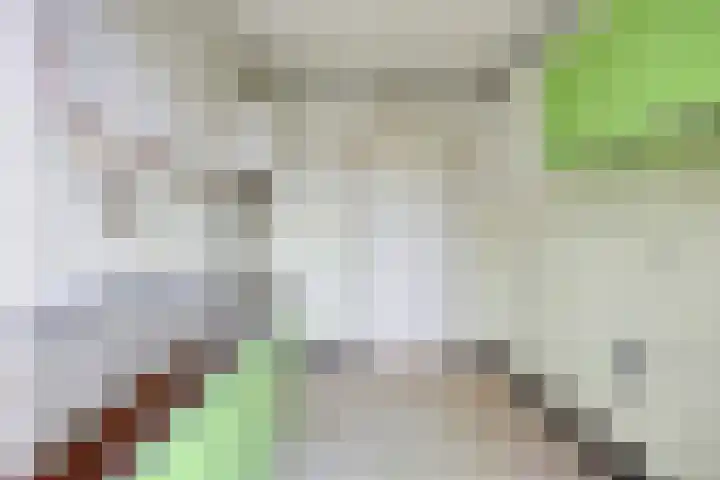 Mira 4 Hapert thumbnail 14