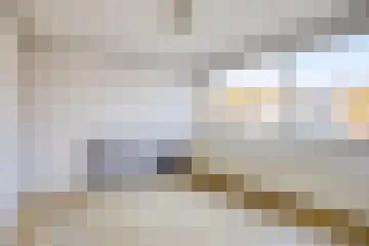 Mira 4 Hapert thumbnail 17