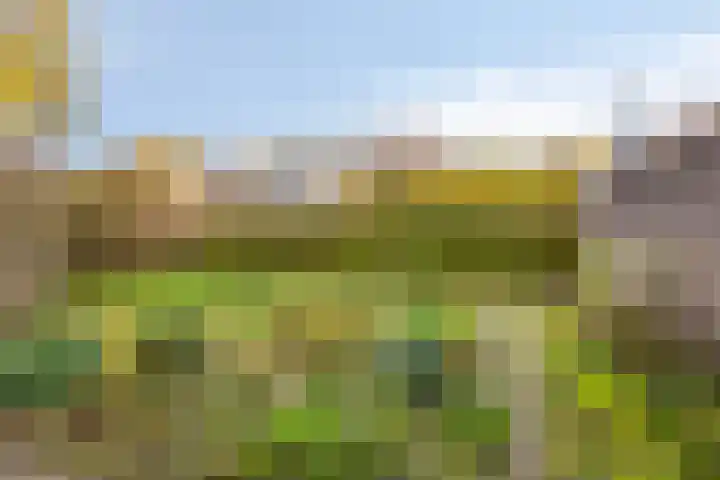 Mira 4 Hapert thumbnail 25