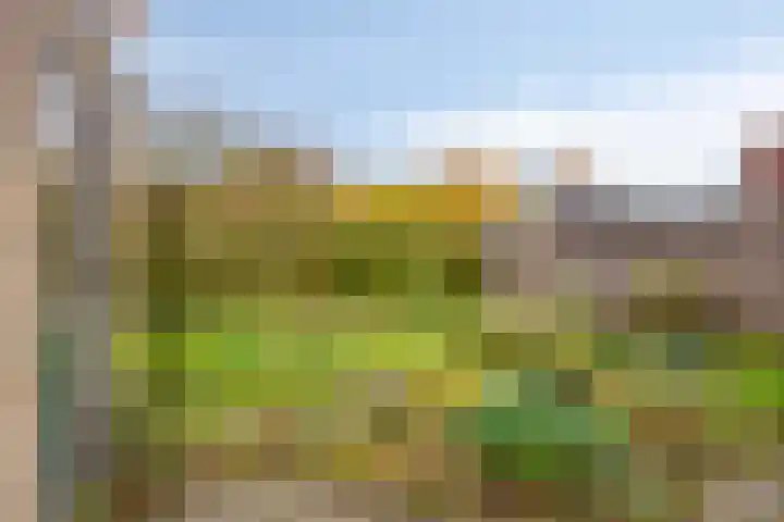 Mira 4 Hapert thumbnail 26