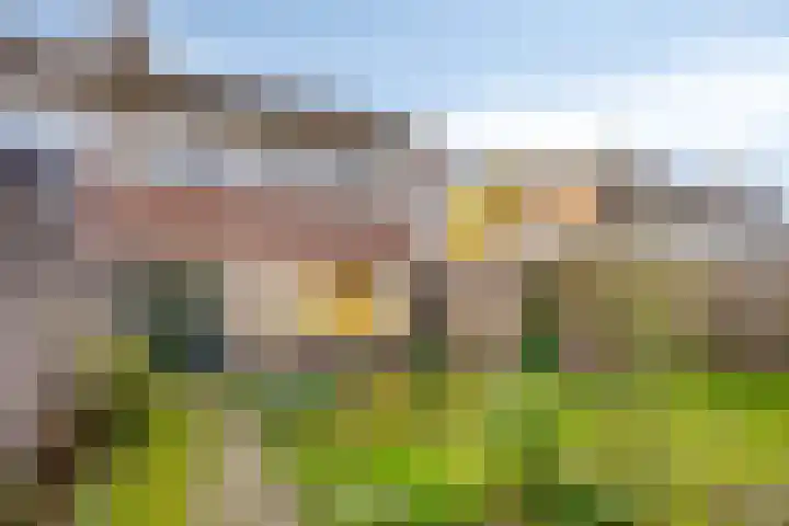 Mira 4 Hapert thumbnail 27