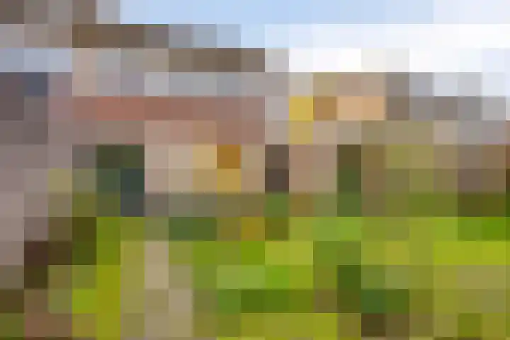 Mira 4 Hapert thumbnail 28