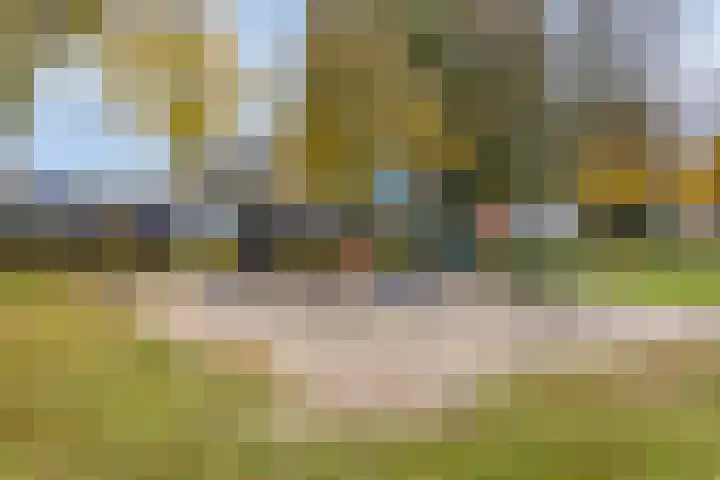 Mira 4 Hapert thumbnail 30