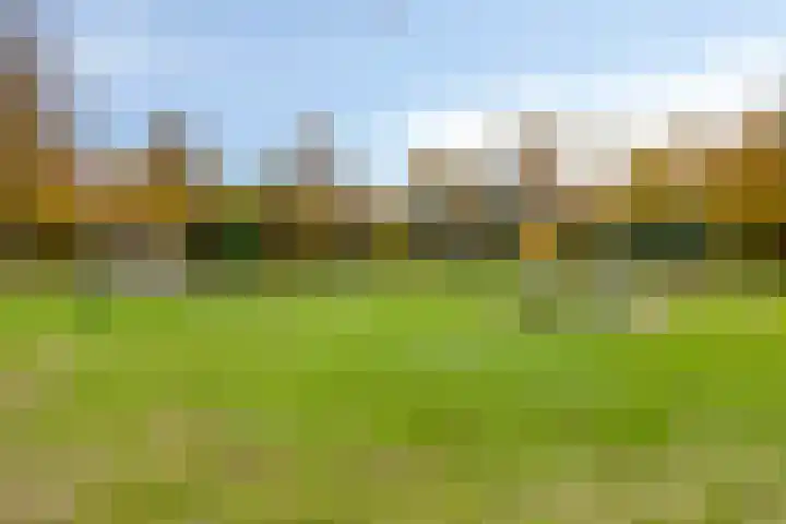 Mira 4 Hapert thumbnail 31