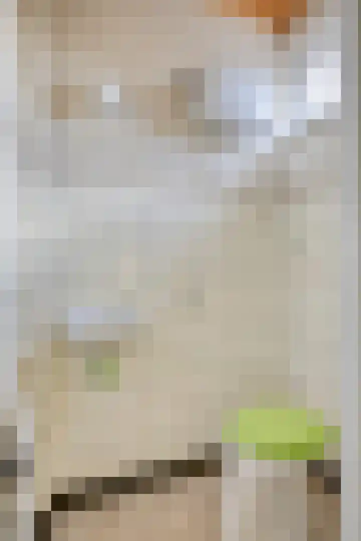 Mira 4 Hapert thumbnail 6