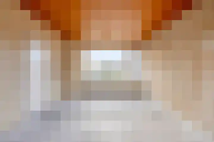 Mira 4 Hapert thumbnail 8