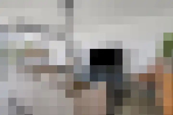 Mira 5 J Veldhoven thumbnail 11