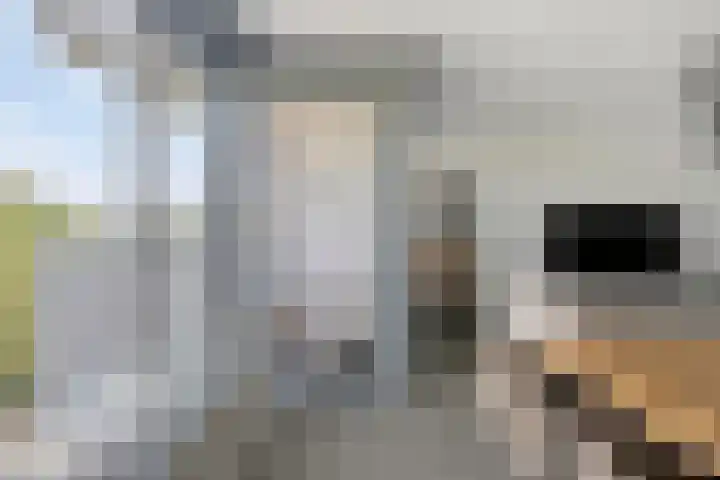 Mira 5 J Veldhoven thumbnail 12