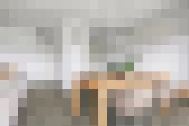 Mira 5 J Veldhoven thumbnail 13