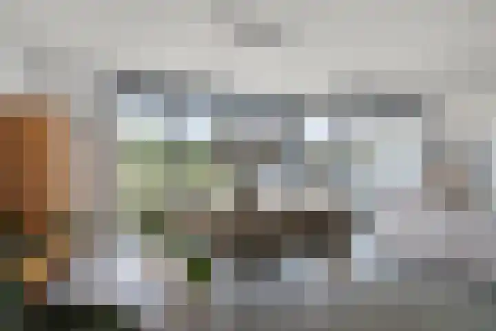 Mira 5 J Veldhoven thumbnail 15