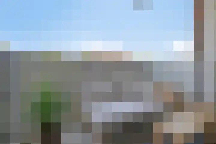 Mira 5 J Veldhoven thumbnail 19