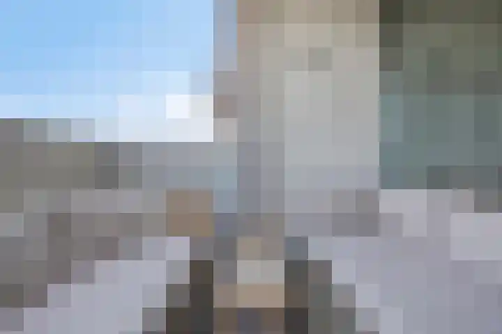 Mira 5 J Veldhoven thumbnail 20