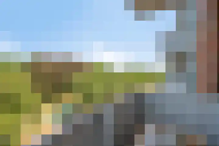 Mira 5 J Veldhoven thumbnail 21