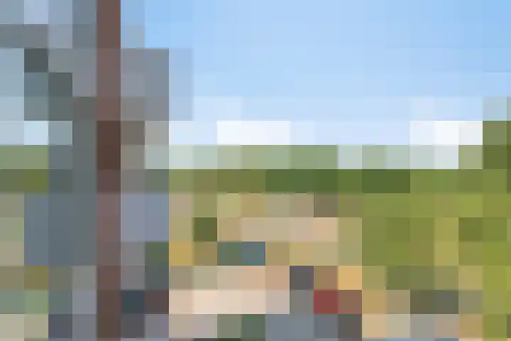 Mira 5 J Veldhoven thumbnail 22