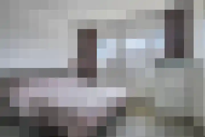 Mira 5 J Veldhoven thumbnail 24