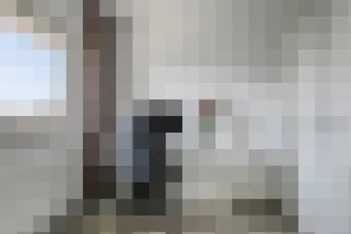 Mira 5 J Veldhoven thumbnail 26