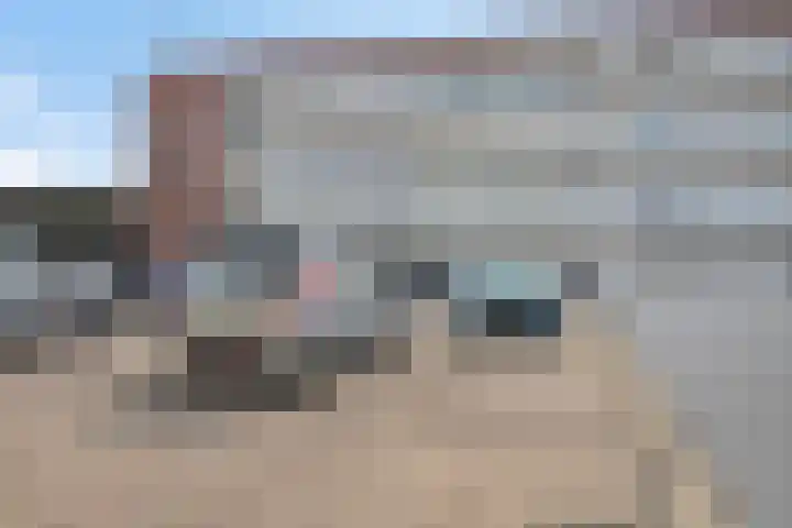 Mira 5 J Veldhoven thumbnail 33