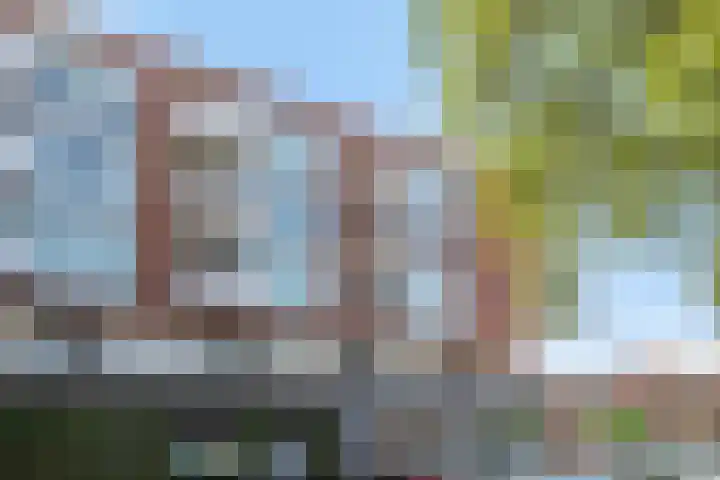 Mira 5 J Veldhoven thumbnail 35