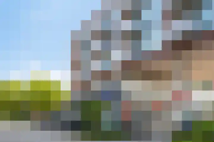 Mira 5 J Veldhoven thumbnail 37