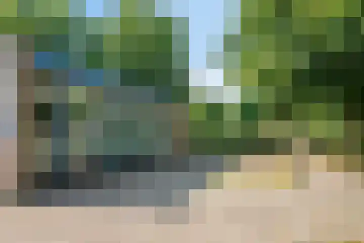 Mira 5 J Veldhoven thumbnail 40