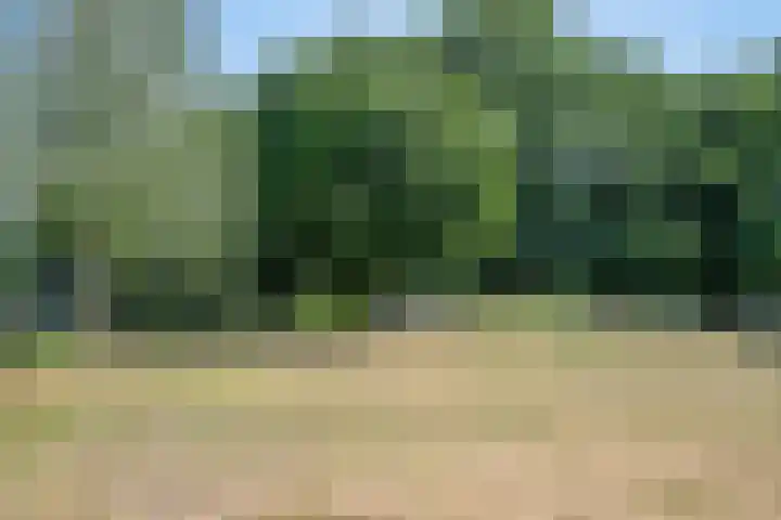 Mira 5 J Veldhoven thumbnail 6