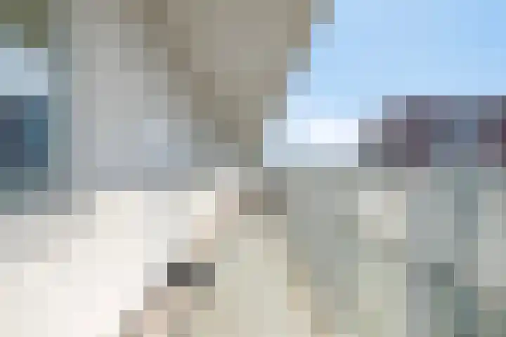Mira 5 J Veldhoven thumbnail 7