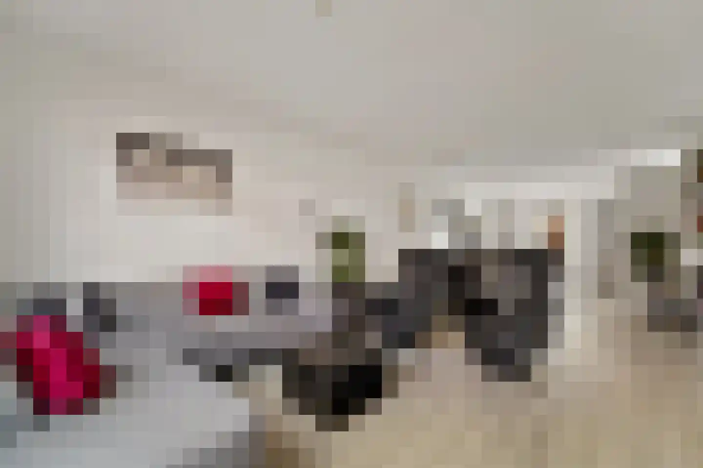 Mirabelle 30 Rijswijk thumbnail 10