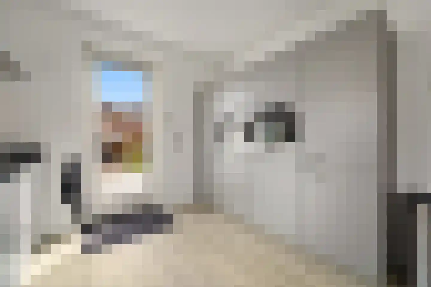 Mirabelle 30 Rijswijk thumbnail 14
