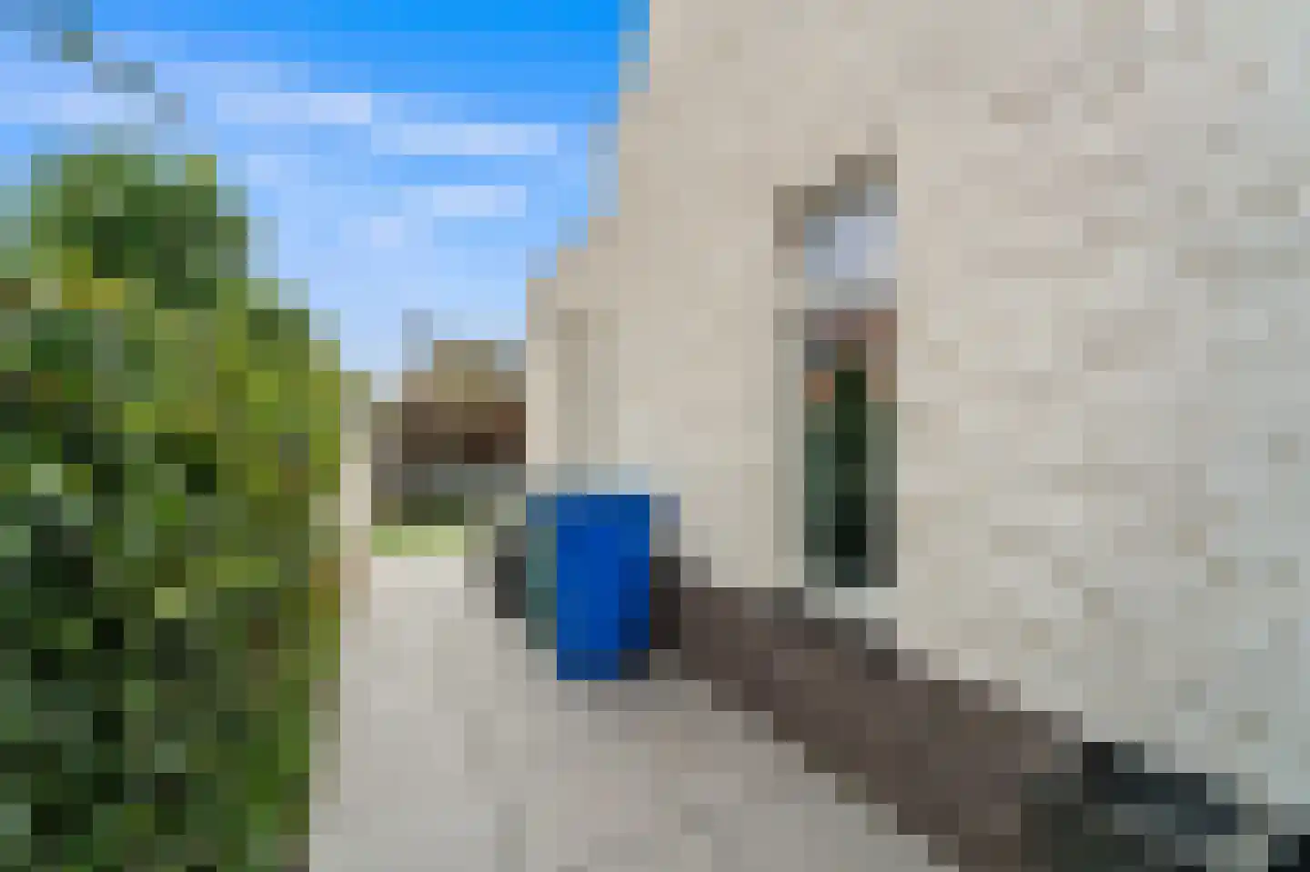 Mirabelle 30 Rijswijk thumbnail 22