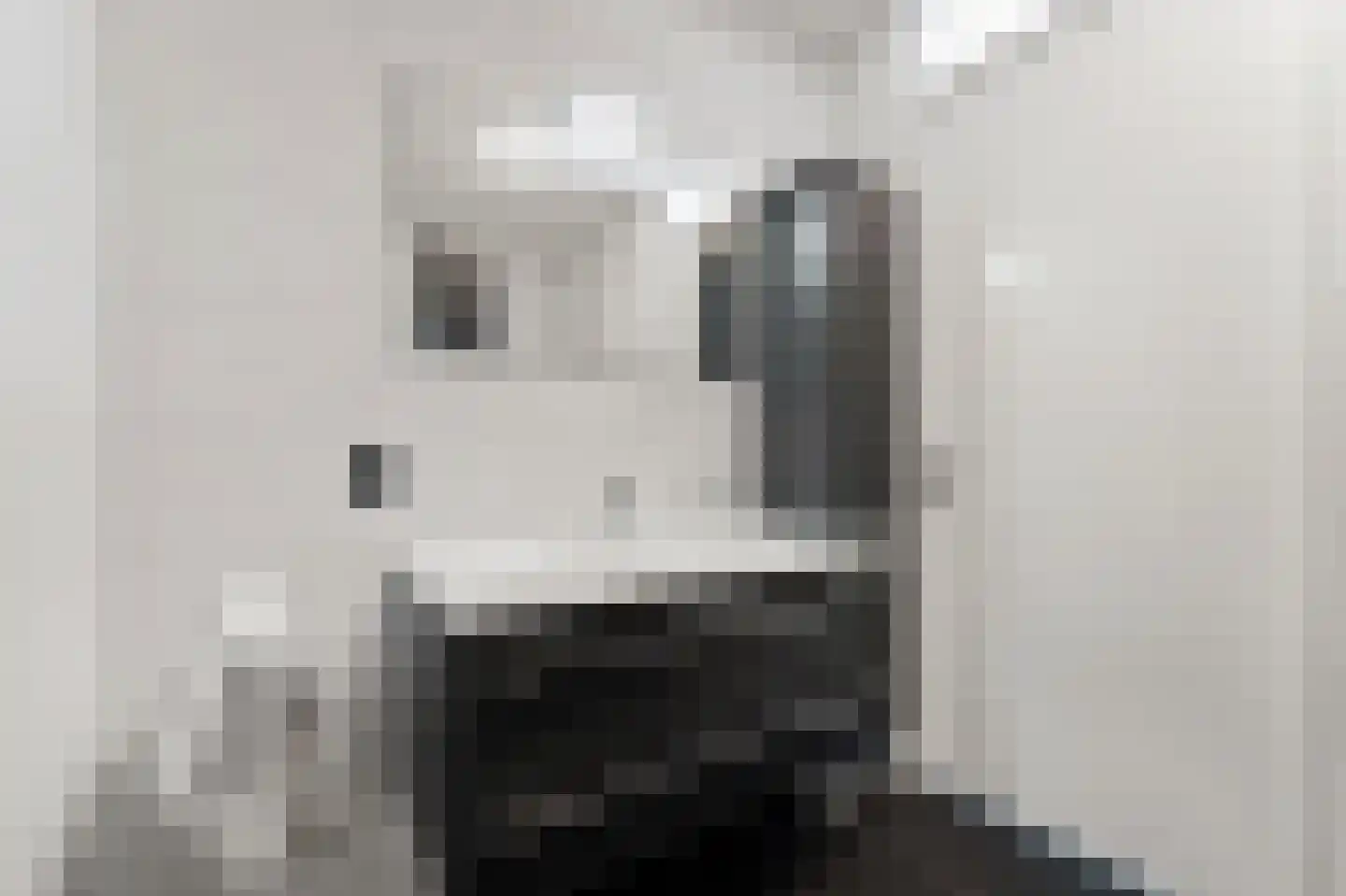 Mirabelle 30 Rijswijk thumbnail 33