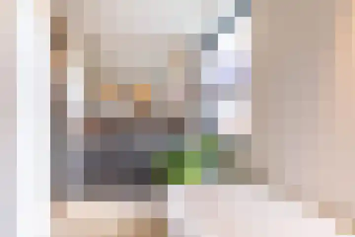 Mirabelle 5 Rijswijk thumbnail 35