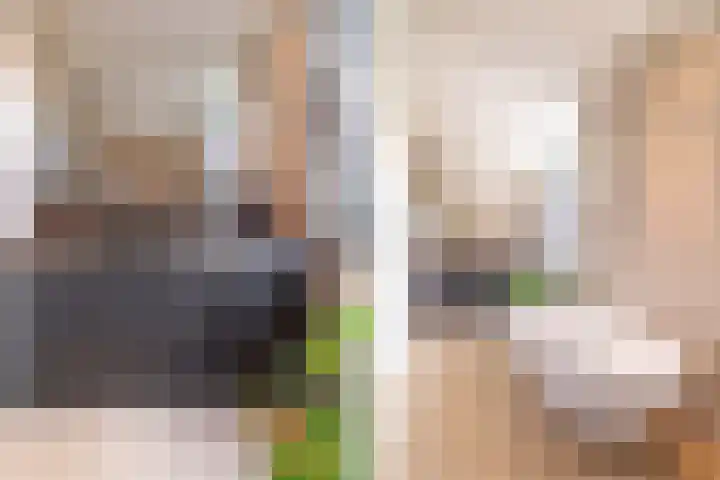 Mirabelle 5 Rijswijk thumbnail 4