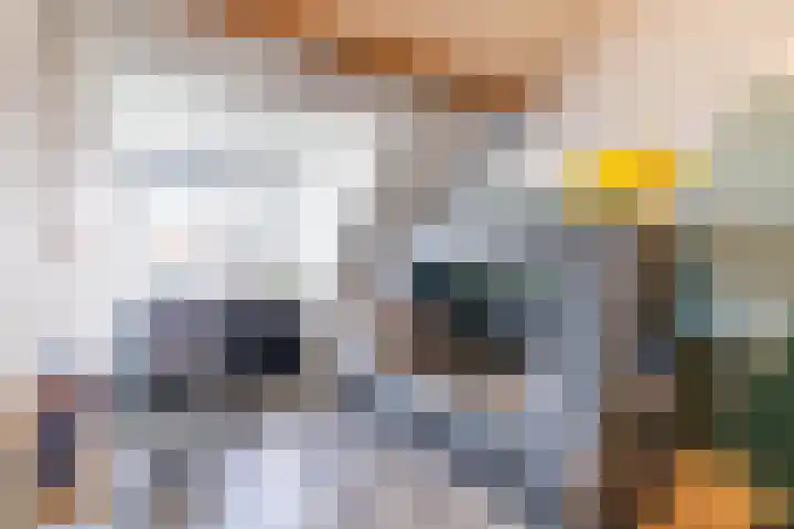 Mirabelle 5 Rijswijk thumbnail 44