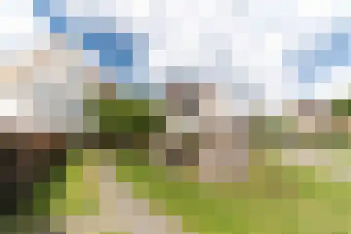 Mirabelle 5 Rijswijk thumbnail 7