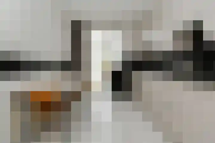 Mirabelweg 12 Eindhoven thumbnail 10
